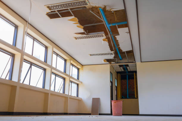 Best Local water damage restoration  in Edgewood, MD