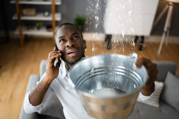 Best Residential water damage restoration  in Edgewood, MD