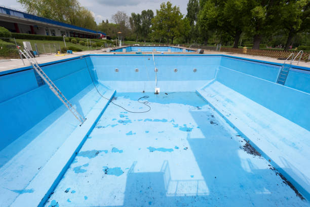 Best Water damage cleanup near me  in Edgewood, MD