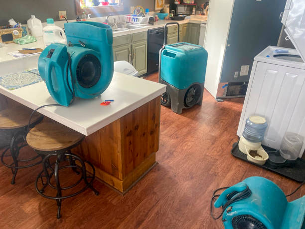 Best Emergency water damage restoration  in Edgewood, MD