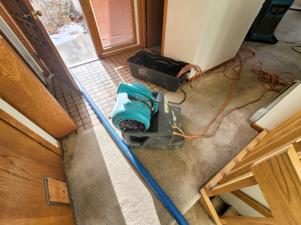 Best Basement water damage restoration  in Edgewood, MD