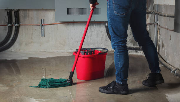 Best 24-hour water damage restoration  in Edgewood, MD