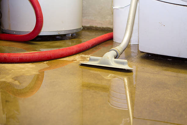 Best Water damage restoration near me  in Edgewood, MD