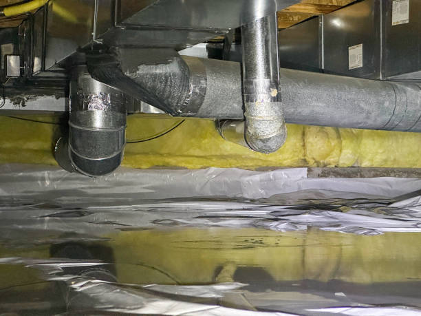 Best 24-hour water damage restoration  in Edgewood, MD