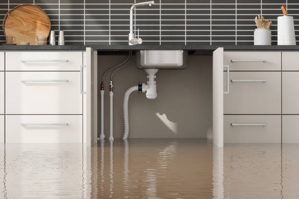  Edgewood, MD Water damage restoration Pros