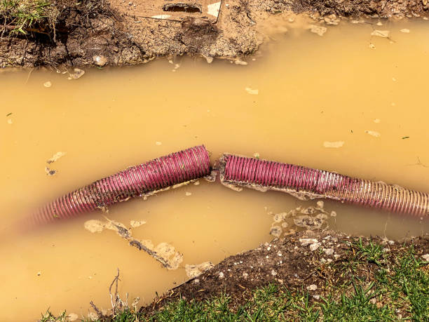 Reliable Edgewood, MD Water damage restoration Solutions