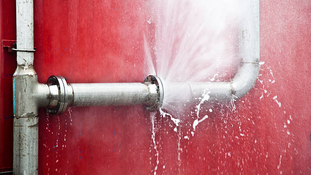 Best Water damage cleanup near me  in Edgewood, MD
